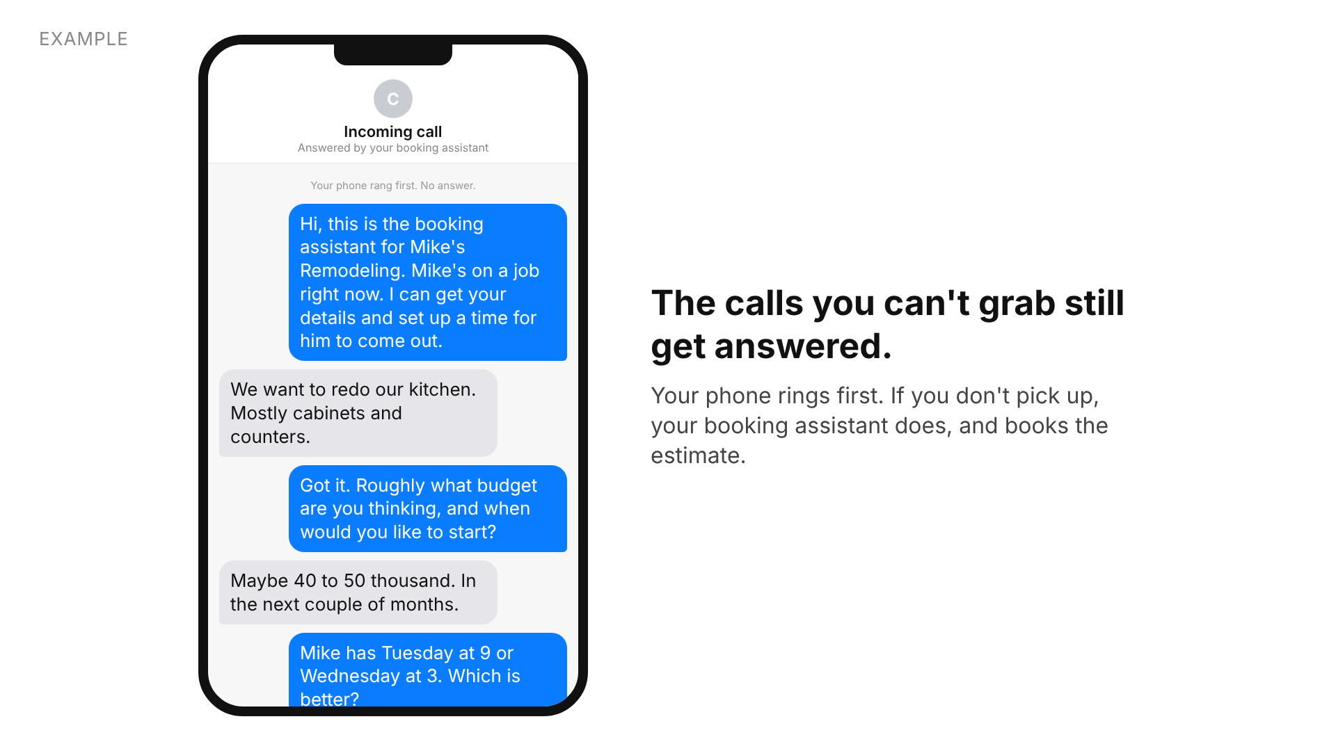 Example call answered by the booking assistant, gathering the project and budget and offering two times.